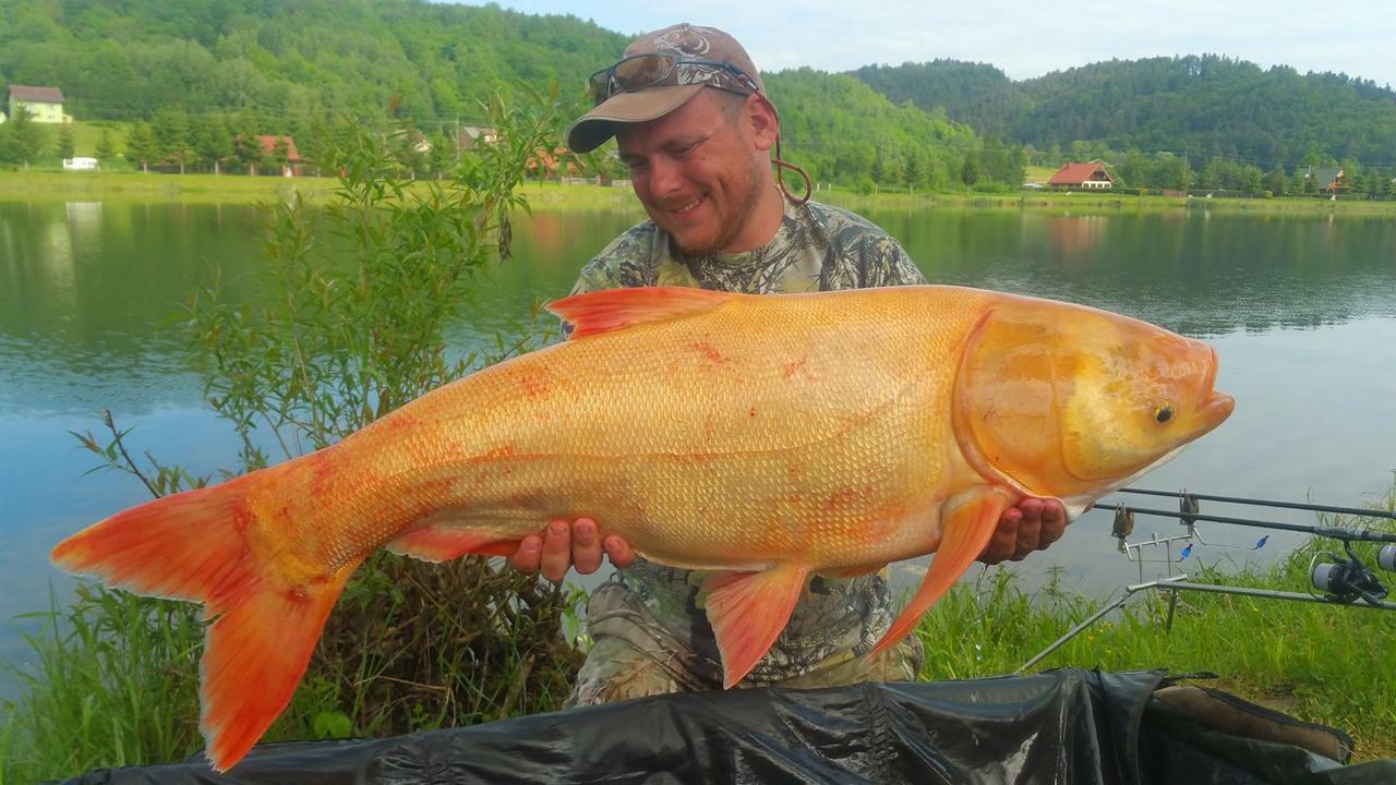 U Schabinskiej Nad Sanem - Domki Bieszczady Krzemienna  外观 照片